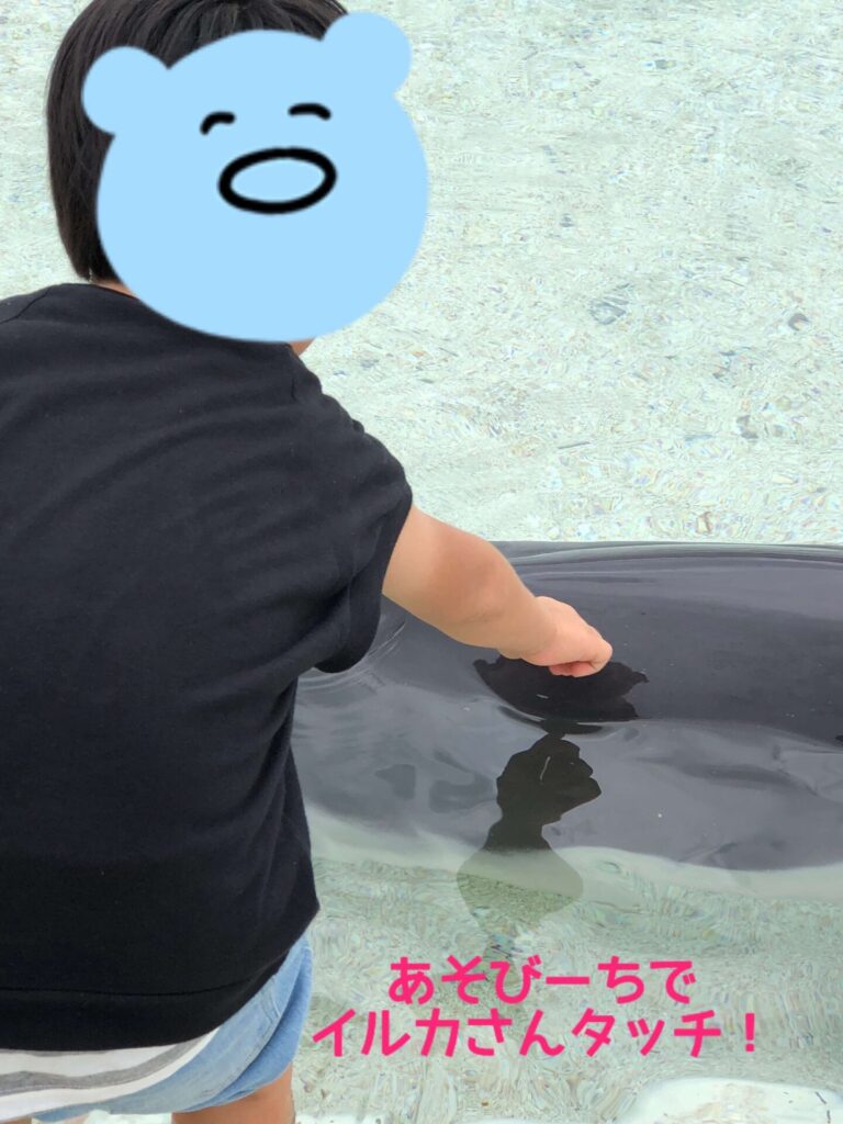 Dolphin touch