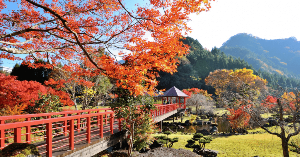 Autumn leaves in Oita Prefecture